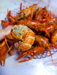 小龙虾