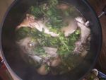 食品食物