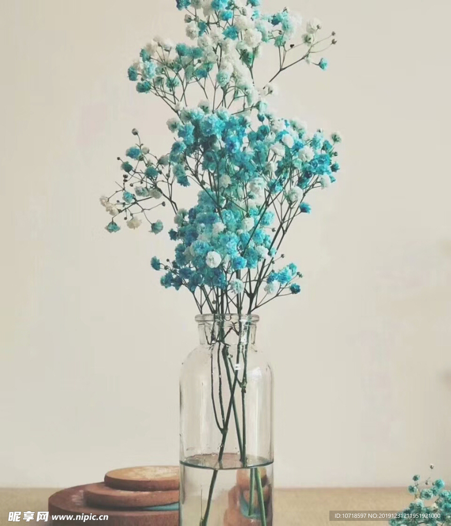 花朵花卉