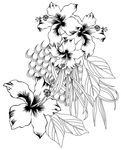 花纹