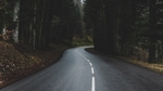 森林公路风景背景