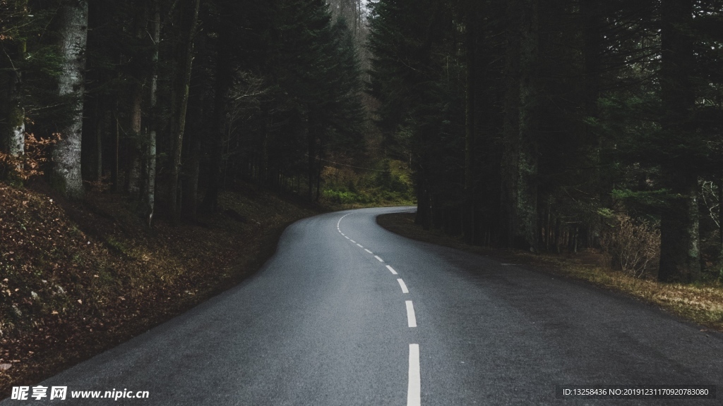 森林公路风景背景