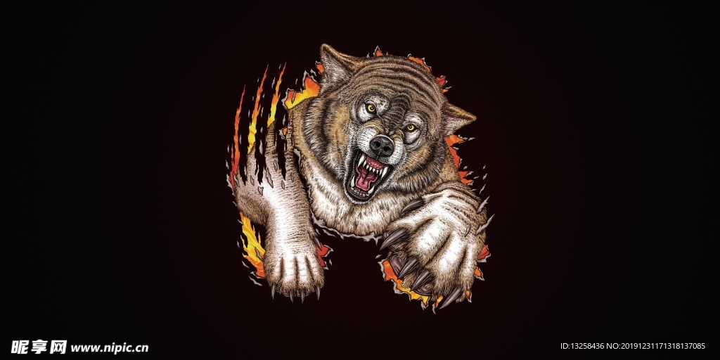 彩色野狼插画背景