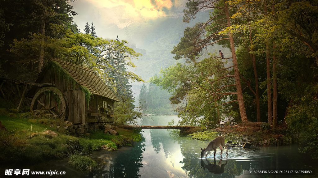 群山树木风景森林背景