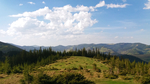 群山树木风景森林背景
