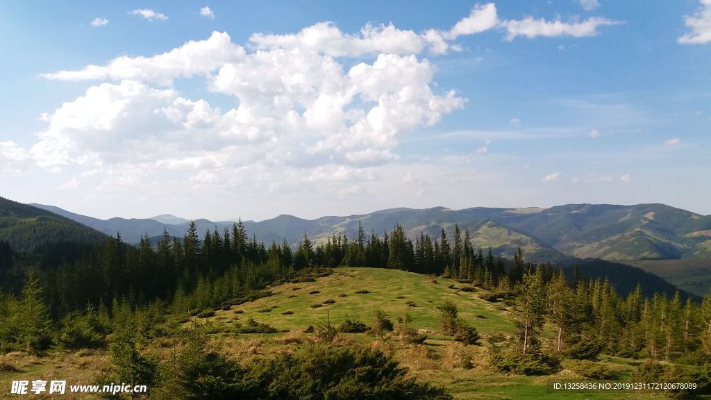 群山树木风景森林背景