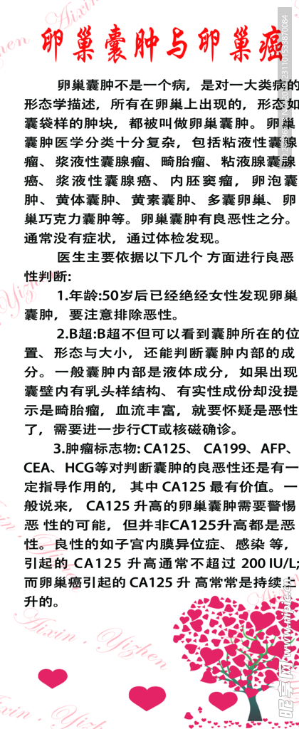 卵巢