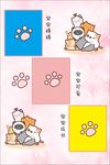 萌萌的照片墙