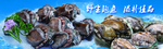 鲍鱼