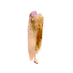 油画画笔痕迹