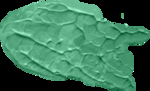 油漆涂抹
