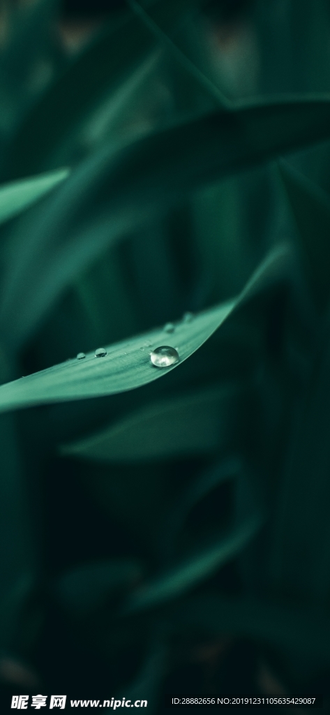 水珠