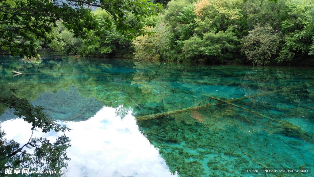 五花海