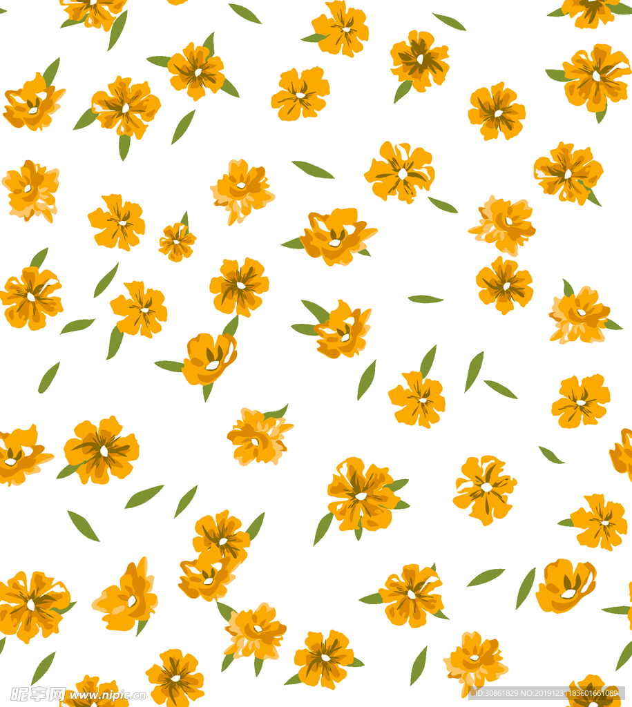 小黄花
