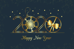 2020年
