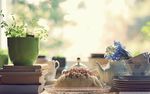 茶具