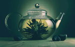茶