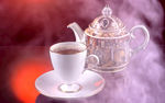 茶