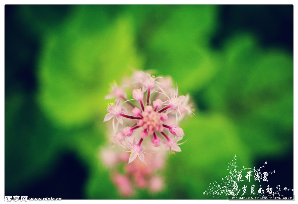 花