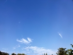 蓝天
