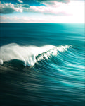 大海
