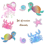 海洋生物