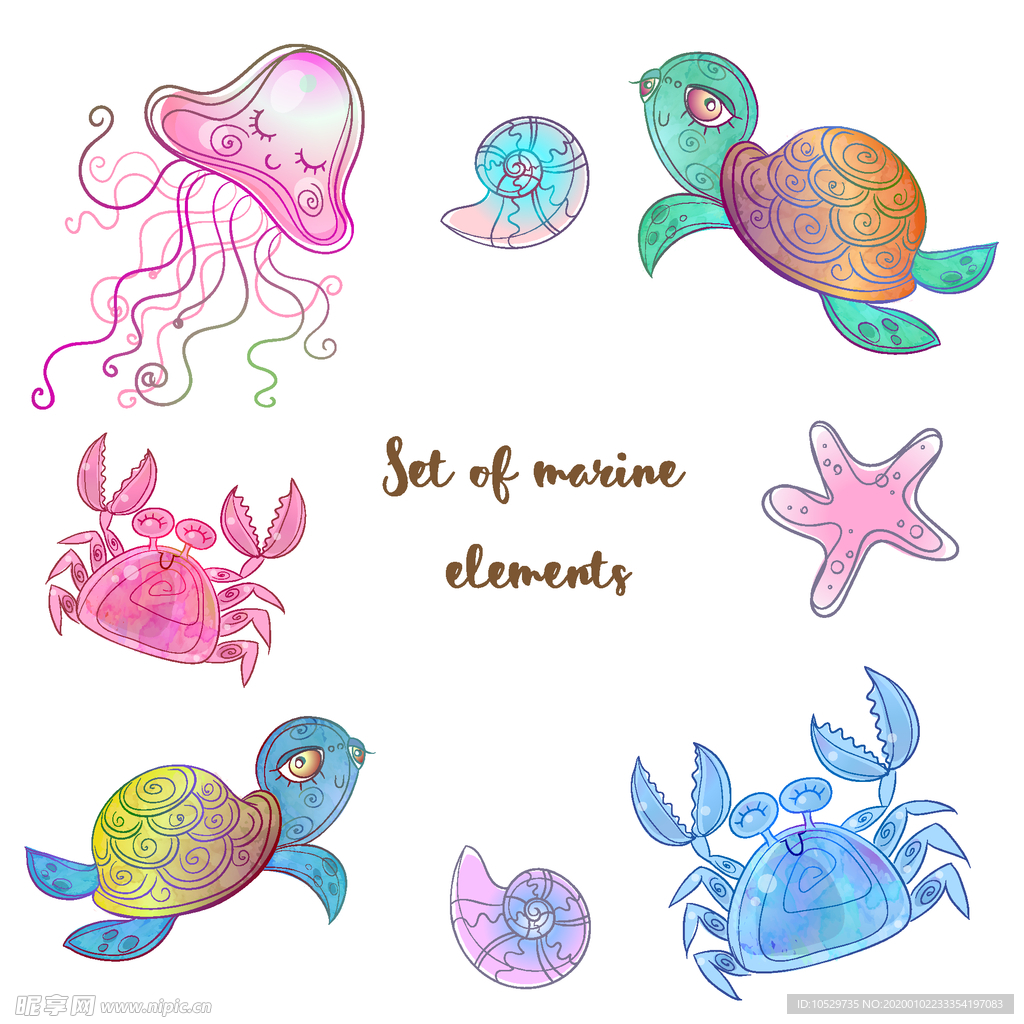 海洋生物