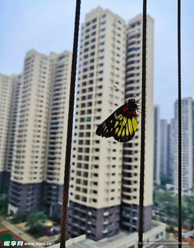 高楼大厦