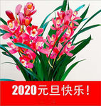 花朵花束