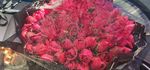 花朵花束
