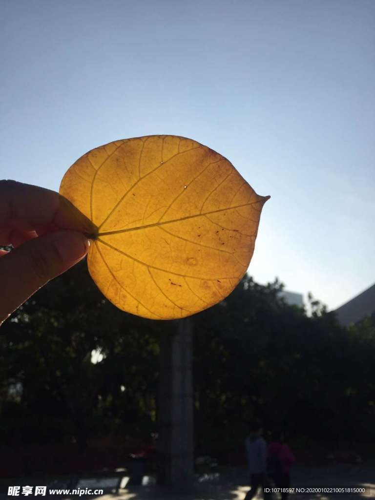 自然风光
