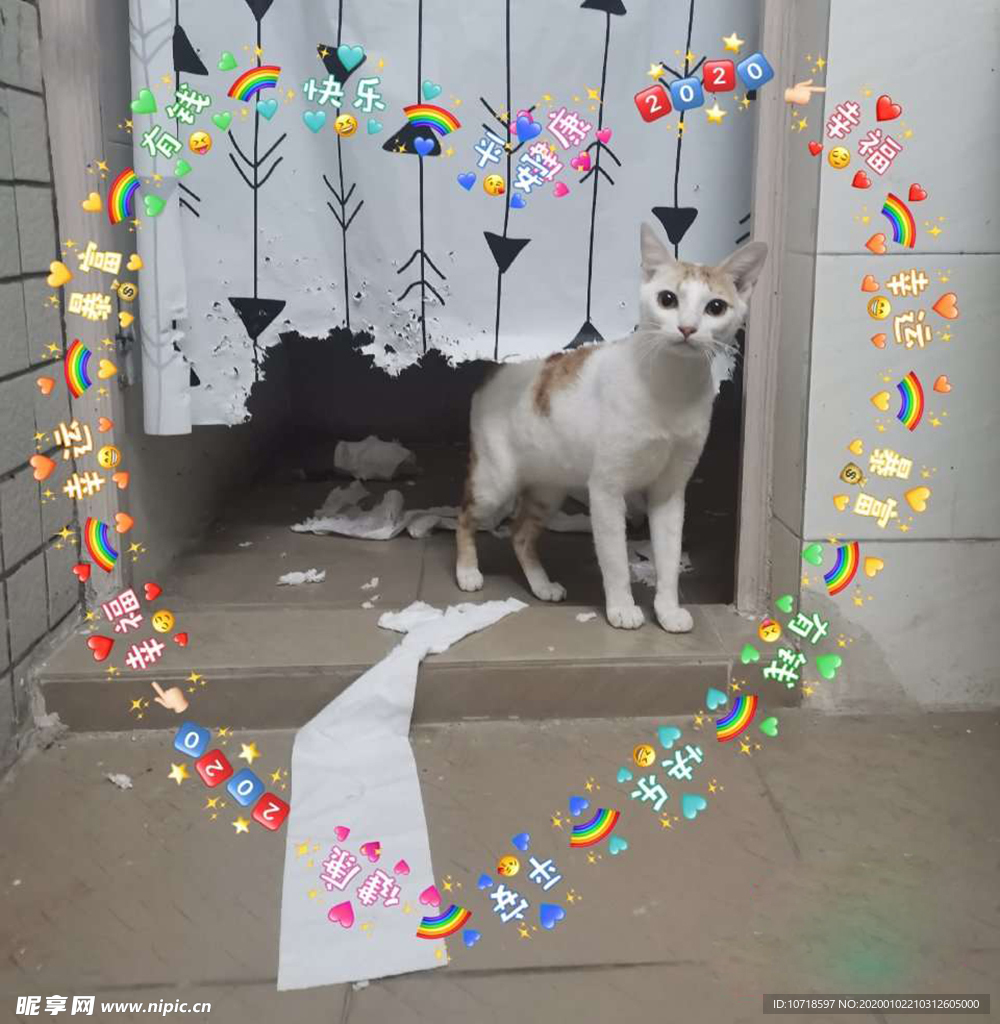 小狗狗