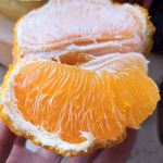 橘子