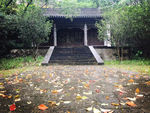 自然风景