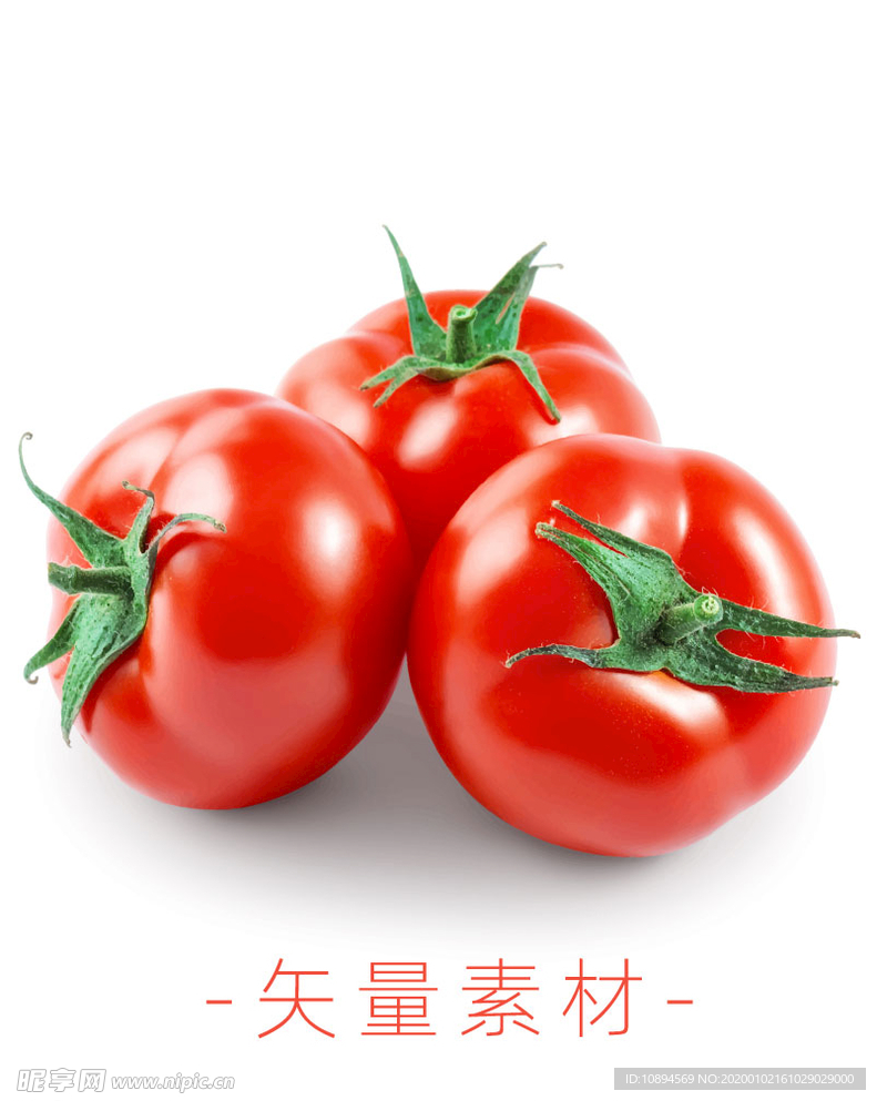 番茄 西红柿