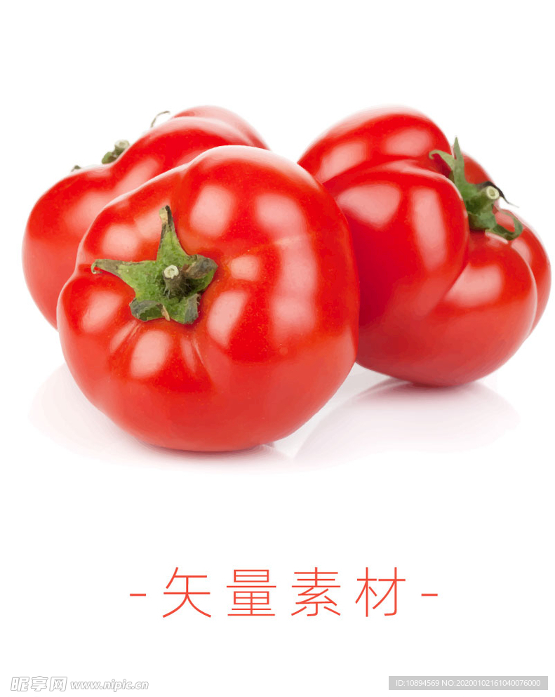 番茄 西红柿