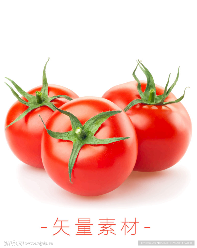 番茄 西红柿