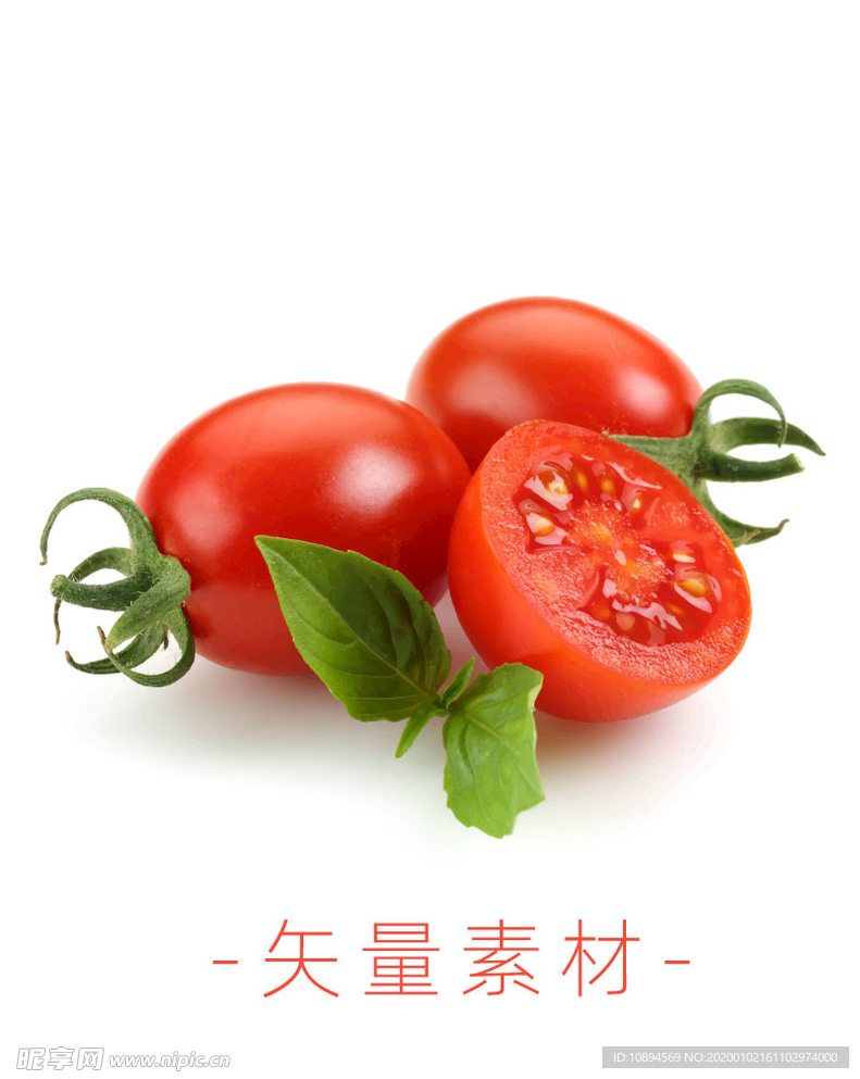 番茄 西红柿 圣女果