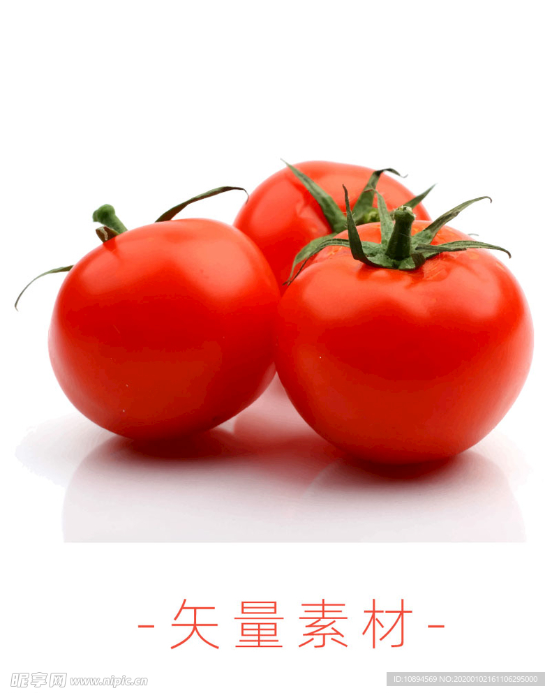 番茄 西红柿