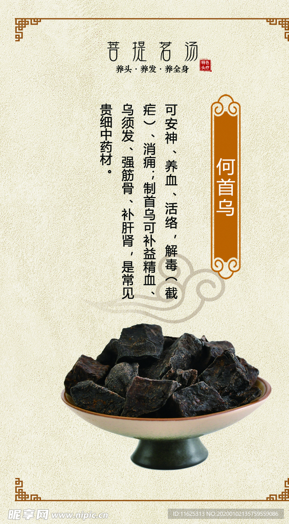 何首乌 中药 菩提茗汤