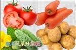 蔬菜高清分层图