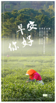 早安