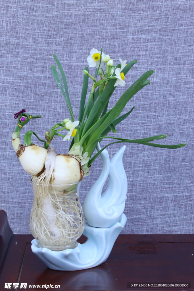 水仙花