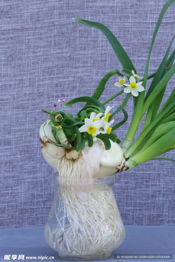 水仙花