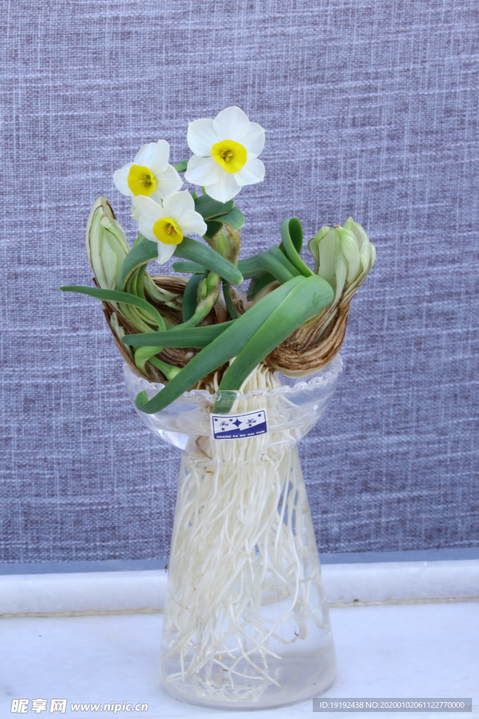 水仙花