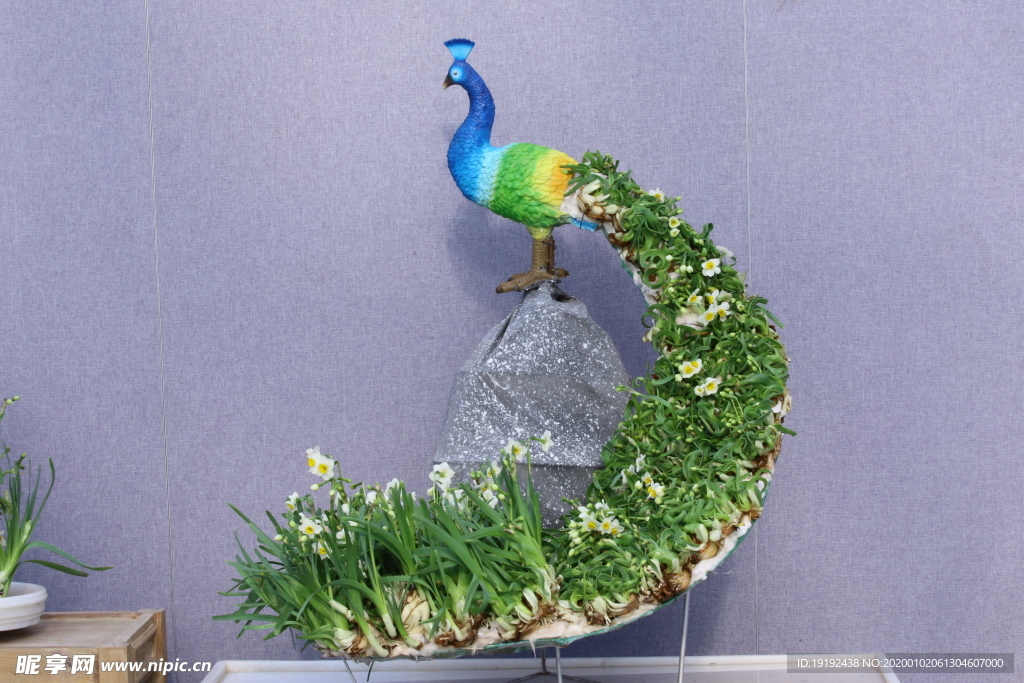 水仙花