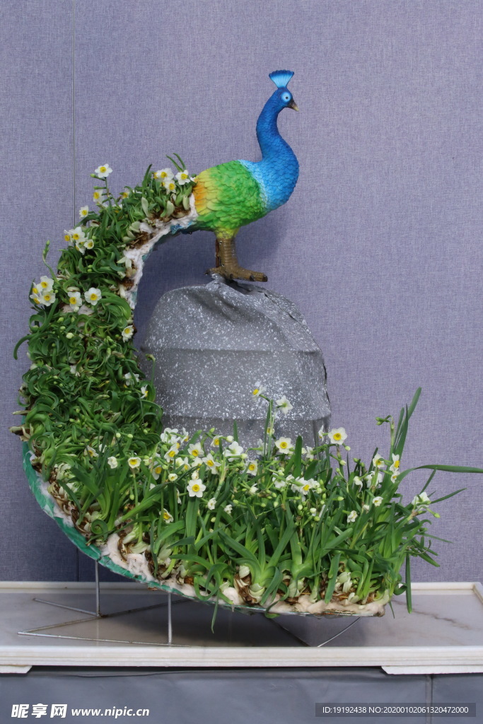 水仙花