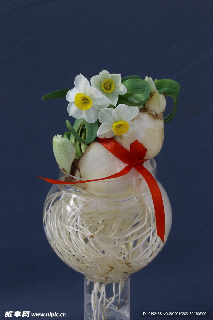 水仙花