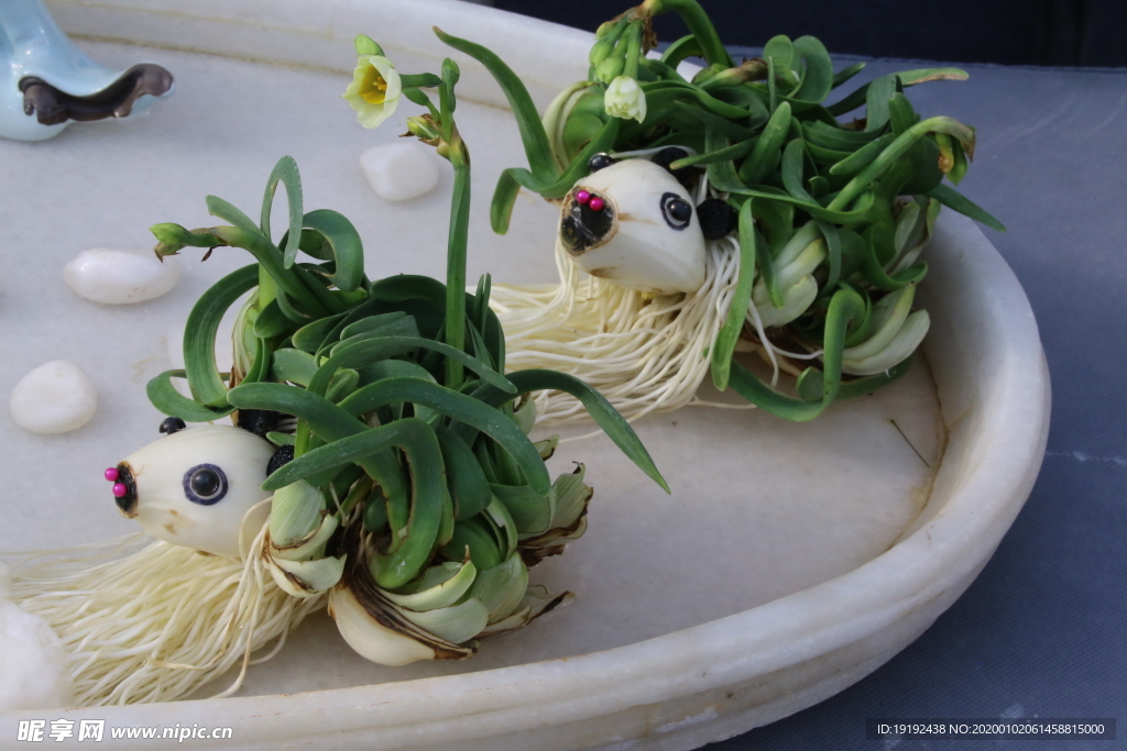 水仙花
