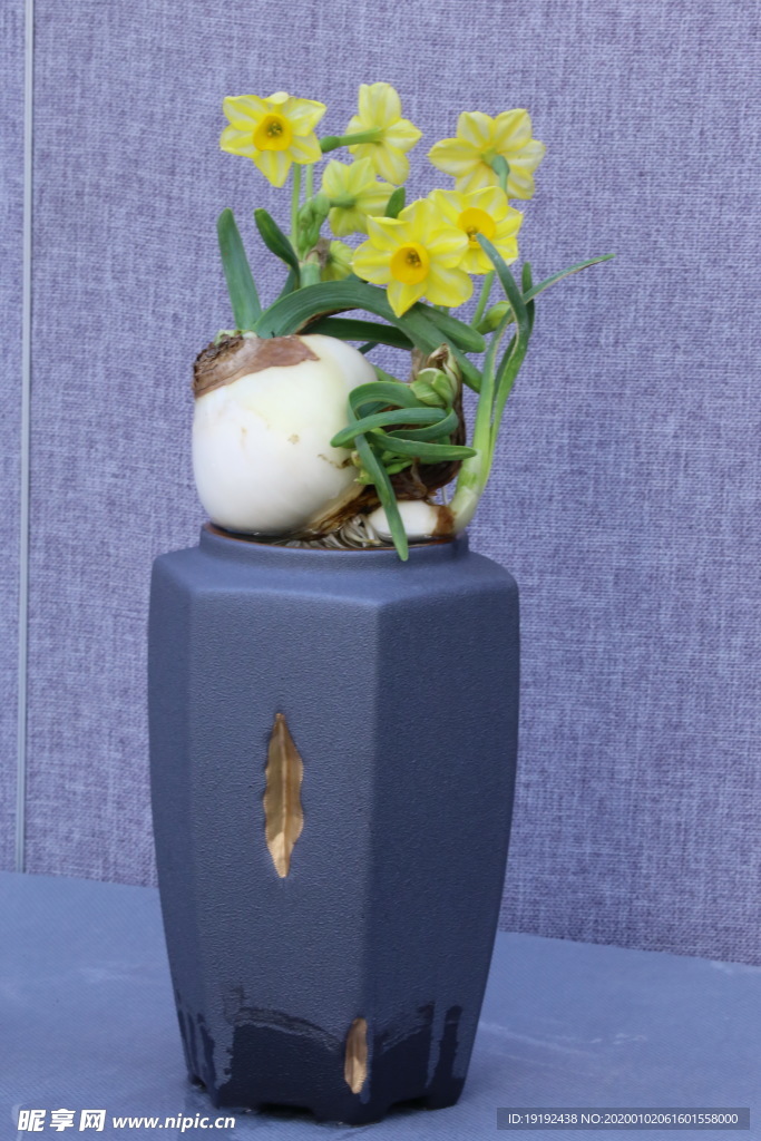 水仙花